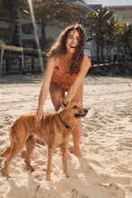 Carica l'immagine nel visualizzatore di Gallery, Image 14: Rio De Sol Bas Bottom Maracai Essential