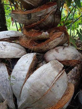 Carica l'immagine nel visualizzatore di Gallery, Image 03: Tiki Monoi Oils Tiki Monoi Ao 120Ml
